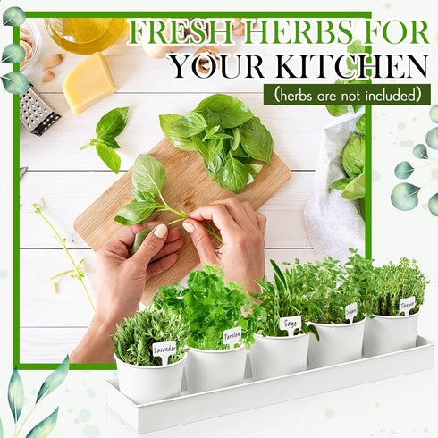 2 Sets 10 FoldTier Herb Garden Planter Indoor Kit with Trey Pcs Metal Windowsill Plant Pots with Drainage Holes Indoor