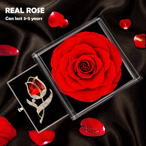 Preserved Red Rose Gift Box, Enchanted Real Rose with Ruby Brooch, Handmade Forever Red Rose Gift
