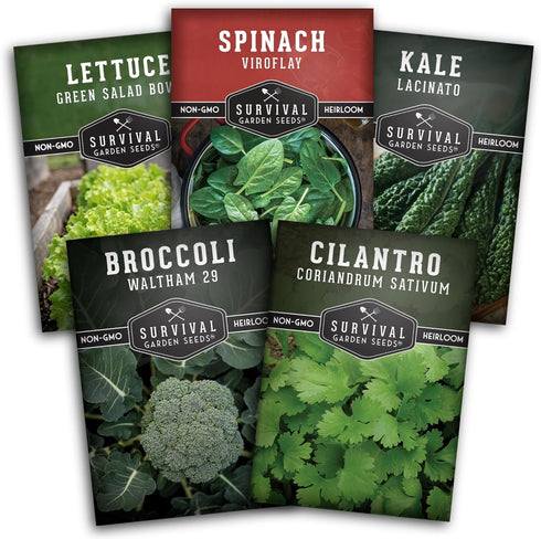 Cool Weather Garden Seeds Collection | Fall & Spring Planting Grow Broccoli,