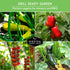 Summer Survival Garden Seeds Kabob Skewer Vegetables Collection - Large Red Cherry Tomato, Black Beauty Zucchini