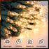 50 Count (50 Count 13FT) Meteds Christmas Lights Clear Mini Lights Green Wire UL Certified Connectable Warm White