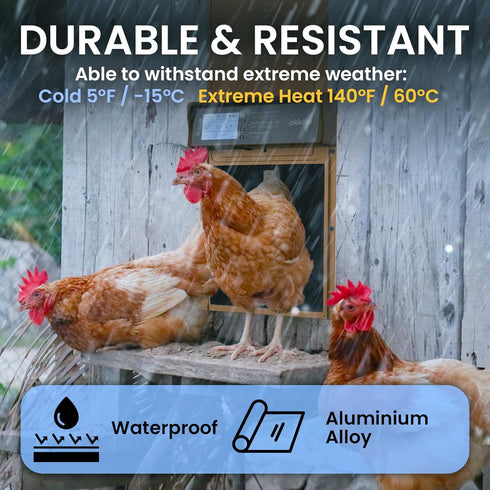 Anti-Pinch 5-Year Okkobi Automatic Chicken Coop Door Solar Powered - LCD Display - Chicken Coop Door with Remote