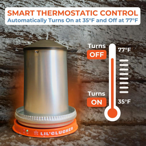 11 Inch) Lil'Clucker Heated Base for Chicken Waterer Automatic Metal Freeze Proof Heated Chicken Waterer with Heater