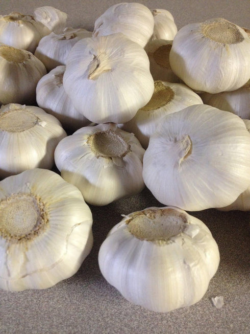 Garlic Bulbs, Whole Garlic Bulbs, 2 bulbs, Ready For Planting or Preparing