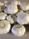 Garlic Bulbs, Whole Garlic Bulbs, 2 bulbs, Ready For Planting or Preparing
