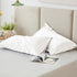 Love's cabin Satin Pillowcase for Hair and Skin, Queen Size Set of 2, Ivory, Satin Cooling Pillow Cover