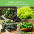 Pack 5 Leafy Greens Seeds Variety Heirlooms: Viroflay Spinach, Arugula, Lacinato Kale, Salad Bowl Lettuce & Rainbow