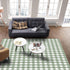 Sage Green Buffalo Plaid Area Rug - 2'x3' Non-Slip Farmhouse Checkered Accent Carpet for Living Room Bedroom