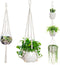 EWPJDK 3 PCS Macrame Plant Hanger Indoor Hanging Planter Basket with Wood Beads