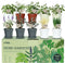 10 Indoor Herb Garden Kit, 33pcs Complete Kitchen Herb Starter Set Including