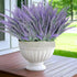 TURNMEON 12 Bundles Artificial Lavender Flowers, UV Resistant Faux Plastic Shrubs for Wedding Bouquet and Home Decor