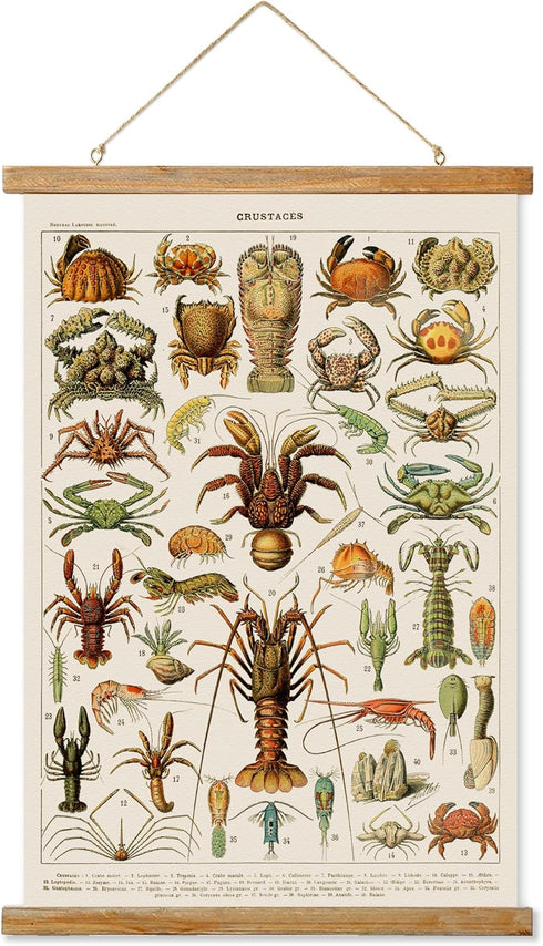 Ovfovy Vintage Crab Poster, Rustic Room Aesthetic, Retro Wall Art Prints Without