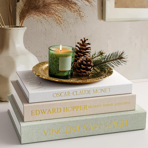Comgrenwind Modern Decorative Books, Set of 3 Linen Fake Books Storage Box Decoration,