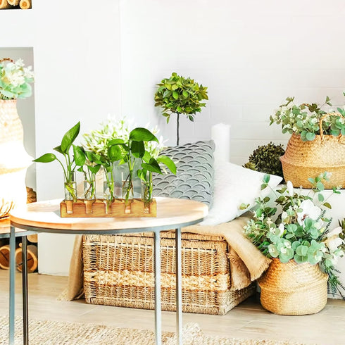 10 Renmxj Plant Propagation Station, Plant Terrarium with Wooden Stand for Hydroponics Plants Office Decor Unique