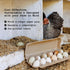 24-Pack, 12-Count Dozen PTCOM Hatortempt Bulk Egg Cartons - Reusable Basket - Recycled Paper Pulp Protection