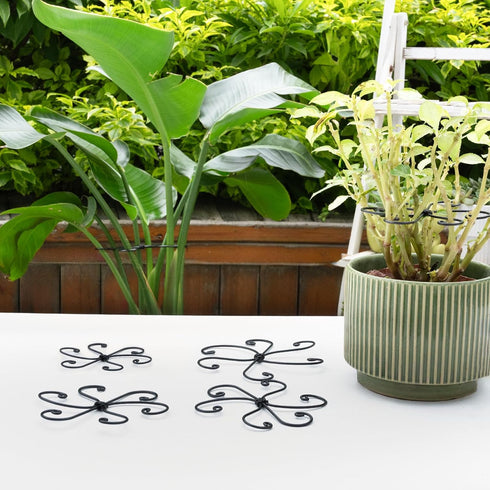 6.5 6.5IN -5 Set, Yohsnor Black Monstera Plant Support Hook - * Piece Durable Metal Stem Supports for Indoor Plants