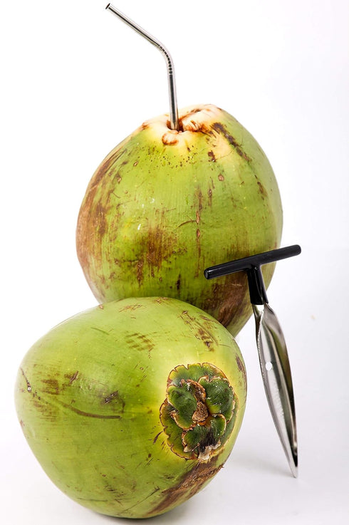 Ken's CocoMon Coconut Opener Tool + Stainless Straw, Black Rubber Handle, Safe with Stainless Steel Straws