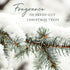 Thymes Frasier Fir Pine Needle Candle - Holiday Candles with Notes of Crisp Siberian Fir, Cedarwood & Sandalwood, 6.5 oz