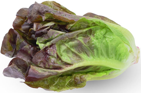 1000 Red Romaine Lettuce Seeds - Heirloom, Non-GMO, USA Grown, Premium Lettuce