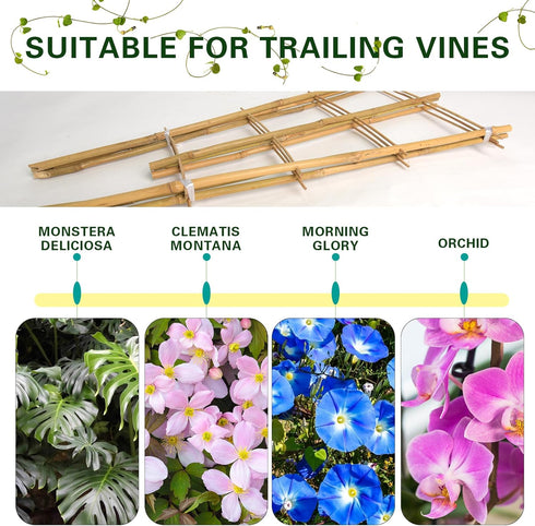 10 Pack, 16 Inches S3 Bamboo Trellis Natural Bamboo Plant Fan Stakes, Fan-Shaped Plant Support Stand for Orchid Vines