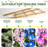 10 Pack, 16 Inches S3 Bamboo Trellis Natural Bamboo Plant Fan Stakes, Fan-Shaped Plant Support Stand for Orchid Vines