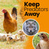 Harvesto 1-1/2" (25' 25) Heavy Duty Bird Netting for Chicken Coops & Runs | Tree & Garden Netting Mesh | Keep Hawks