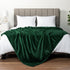 PAVILIA King Size Fleece Blanket - Super Soft, Plush, Lightweight Microfiber Throw, Emerald Green, 90x108 inches