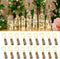 Etinga 18 Pack Wine Bottle Lights with Cork, 20 LEDs, 6.6 Ft, Fairy