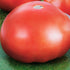 19.3 oz., 4-Pack, Bonnie Plants Park's Whopper Improved Tomato, Live Plants