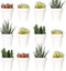 Youngever 24 Pack 2 Inch Mini Plastic Planters, Indoor Flower Pots, White Gardening Pot with Drainage (Classic)