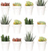 Youngever 24 Pack 2 Inch Mini Plastic Planters, Indoor Flower Pots, White Gardening Pot with Drainage (Classic)