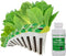 AeroGarden Mixed Romaine Lettuce Seed Pod Kit (9-pod)