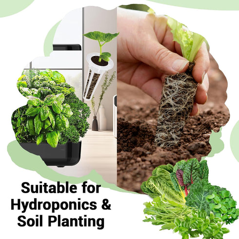 8 600+ Herb & Salad Greens Seed Pods for All Hydroponics Growing Systems, Pods with Seeds of Basil, Cilantro, Romaine