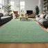 Sage-Green Area Rugs for Bedroom, Living Room, 4x6 Feet Indoor Memory Foam Rug, Modern Washable for Kids Room