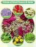 20 Oz 6 Nesting Herbs for Chicken Coop - Natural Egg-Laying Box Feed Herb in Dried Flowers for Freshening Bedding