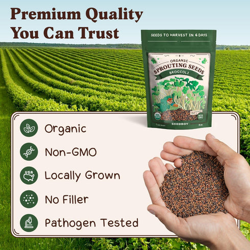 8 oz 8 32 Seedboy Organic Non-GMO Broccoli Seeds for Sprouting - USA Grown Microgreens Sprouting Seeds - Bag Makes