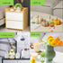 Fumonebuty 5PCS Handmade Emotional Support Crochet Gift Encouragement Support Vegetables and Fruits Knitted Dolls