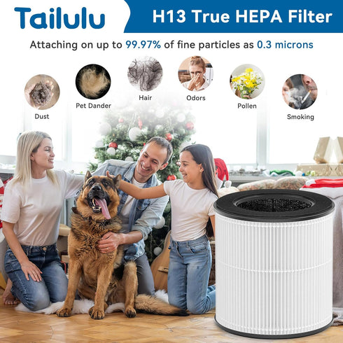 Air Purifier Filter for Tailulu AP100, 3-in-1 True H13 HEPA Filter, 1 PCS