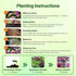 1000 Outsidepride Ornamental Kale Seeds - Pcs. Annual, Easy to Grow & Cold Hardy, Flower Seeds for Planting Edible