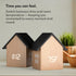 Dimmer Driini Digital House-Shaped Alarm Clock with Temperature Display (Light Wood) Modern Aesthetic - Cute Cube Frame