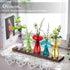 Glasseam Mushroom Plant Propagation Station: Cute Glass Terrarium Jar with Wooden Stand Unqiue Planters for Indoor