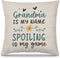 PUHEI Grandma Pillow Covers 18x18, Grandma Gifts from Grandchildren, Best Grandma Gifts, Grandma