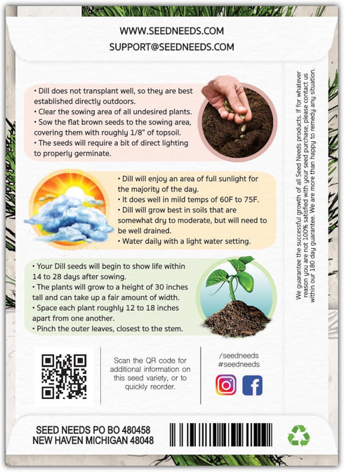 (1 Pack) Seed Needs Dill Seeds for Planting Bouquet Herbs - Non-GMO Heirloom & Untreated Herb Seed to Plant a Home