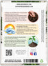 (1 Pack) Seed Needs Dill Seeds for Planting Bouquet Herbs - Non-GMO Heirloom & Untreated Herb Seed to Plant a Home