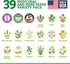 Pack 39 Medicinal Herb Seeds Variety Heirloom Non-GMO Apothecary Seed Kit, Herbal Medicine & Tea Garden, Made in USA