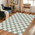 3' 5' Sage Green Washable Area Rug Checkered Large Living Room Rug Geometry Neutral Line Non-Slip Soft Bedroom Carpet