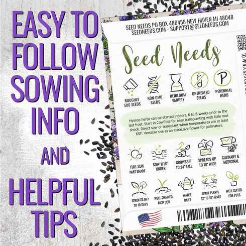 (1 Pack) Seed Needs Hyssop Seeds for Planting Blue Hyssop Herbs - Non-GMO Heirloom & Untreated Hyssopus officinalis