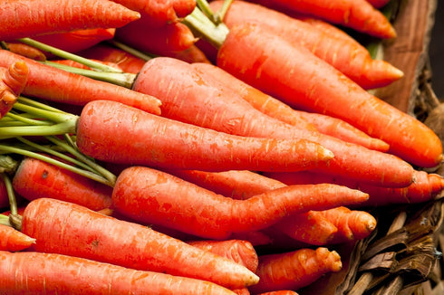 Sunutri Seeds Pack 4 126, Carrot Seeds Variety Heirloom Carrot Varieties: Tendersweet, Danvers Parisian, Rainbow Mix