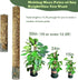 chicarry 13.2ft 4Pcs 8.3in3.3ft 7Pcs 23" (13.2FT Moss Pole DIY Kit, Metal Moss Pole for Plants Monstera, Steel Wire