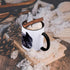 3dRose ROCKY MOUNTAIN GRAY WOLF Two Tone Mug, 11 oz - Black